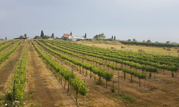 שובר יוקרתי לזוג