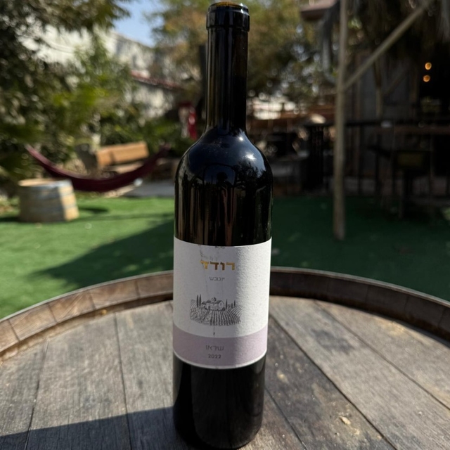 יין שיראז 2022