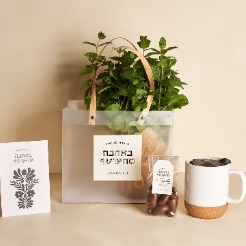 כוס תה עם נענע