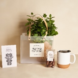 נענע וספל שתיה חמה