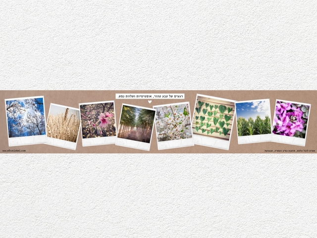 ראנר עם צילומי נוף מהעוטף - לשולחן האוכל