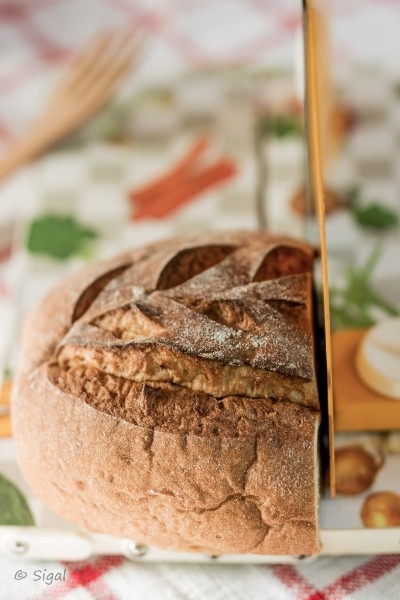 לחם ללא גלוטן מתערובת "מולינו"