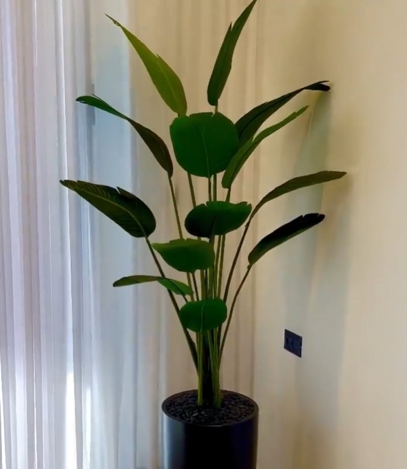 ציפור גן עדן מלאכותי בכד בטון