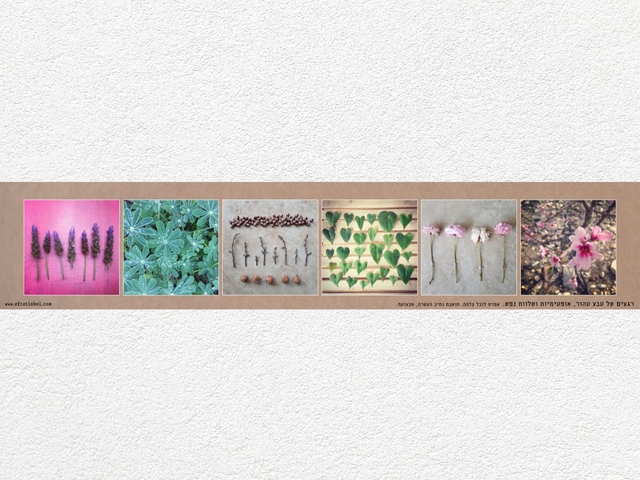 ראנר עם צילומי נוף מהעוטף - לשולחן האוכל