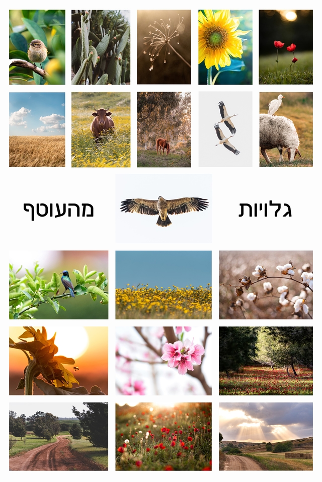 גלויות מהעוטף