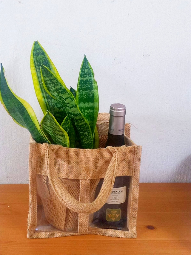 עציץ בבד יוטה עם צמח בית+שקית לבחירה +יין גדול