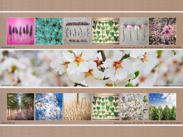 2 ראנרים עם צילומי נוף מהעוטף - לשולחן האוכל