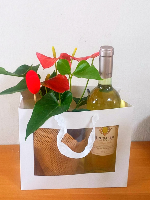 עציץ עם הקדשה תבלין/פורח+שקית לבחירה+יין גדול(750 מל) אדום/לבן