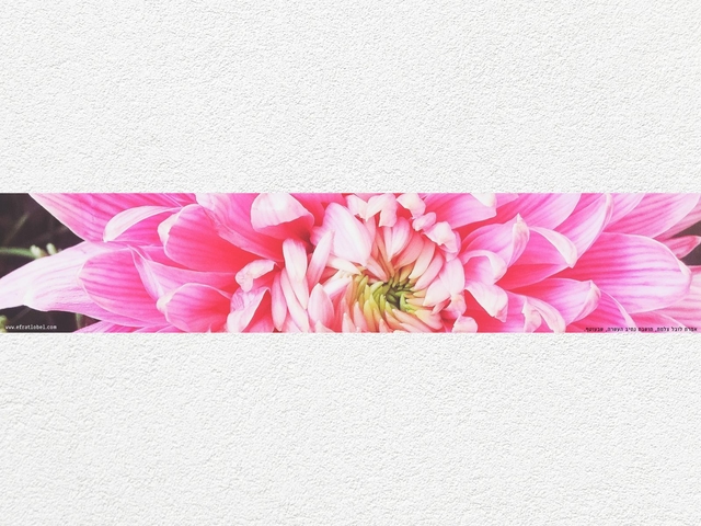 ראנר עם צילומי נוף מהעוטף - לשולחן האוכל