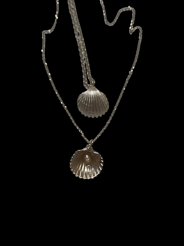 צדף מכסף עם פנינה, תכשיט דו צדדי .מתאים לכולם!