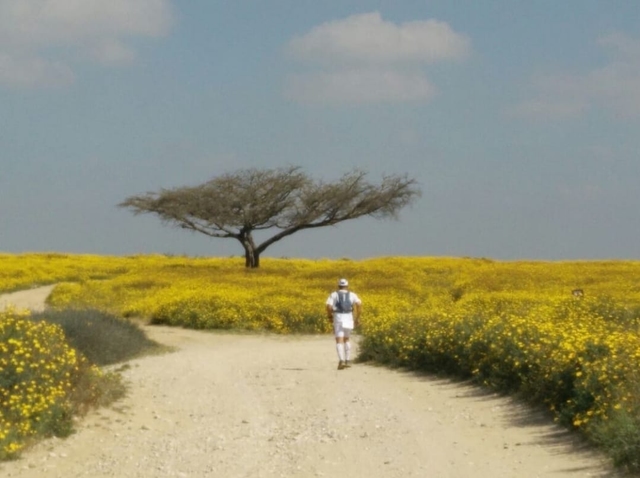 אימון אישי לחיים , להיות טוב יותר בעיני עצמי