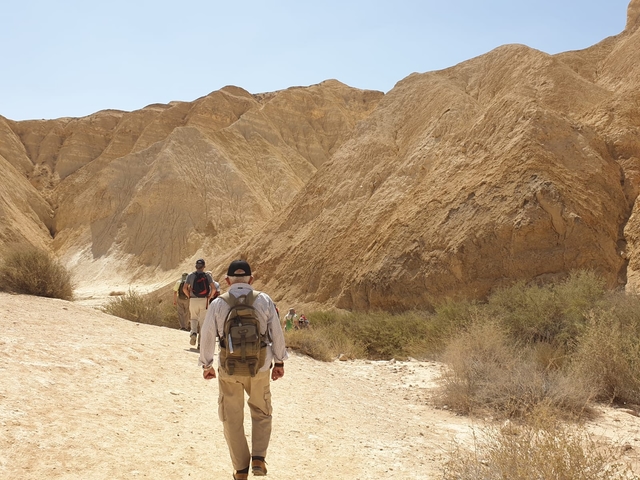 עדי אשד- מורה דרך, מנחה קבוצות ומרצה על יעדים בעולם