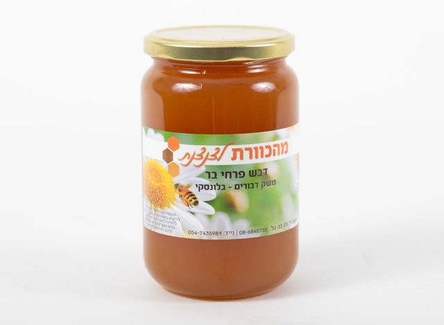 דבש פרחי בר 1 ק״ג