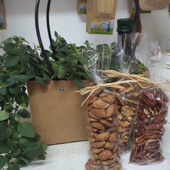 מארז ט"ו בשבט