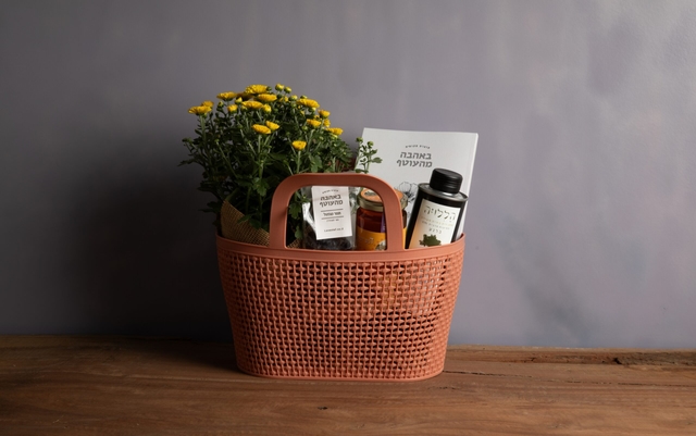 סלסלת בראשית