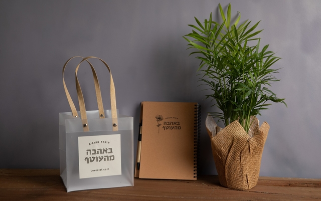 עציץ ומחברת