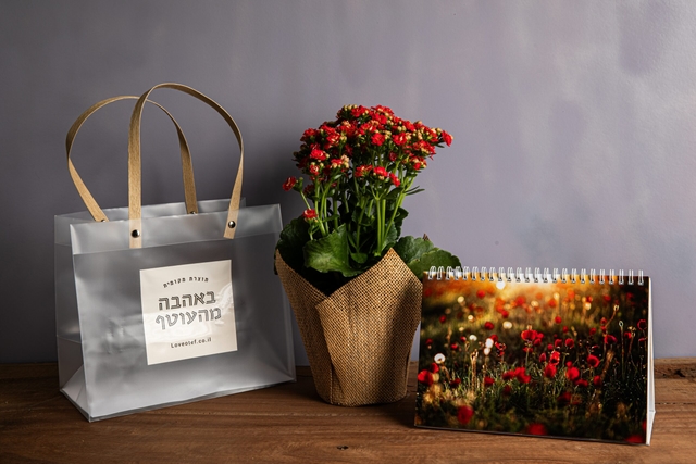 לוח שנה ועציץ (עסקי)